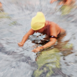 VERTICAL AQUATIC STYLES